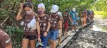 Leia mais sobre o artigo Projeto mobiliza crianças e jovens para a conservação dos manguezais amazônicos
